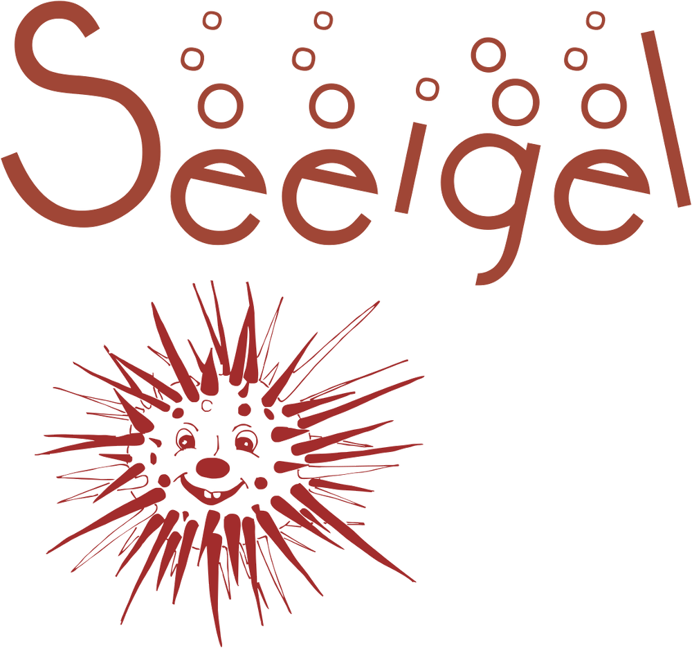 Seeigel Gruppe Seeigel